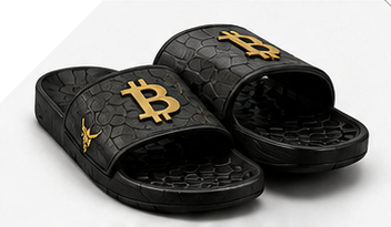 BITCOIN SLIDES